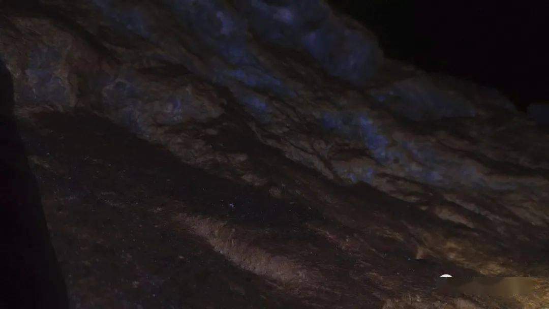 创作猫